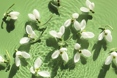 Beautiful flowers in water on green background, top view