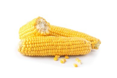 Photo of Ripe raw corn cobs on white background