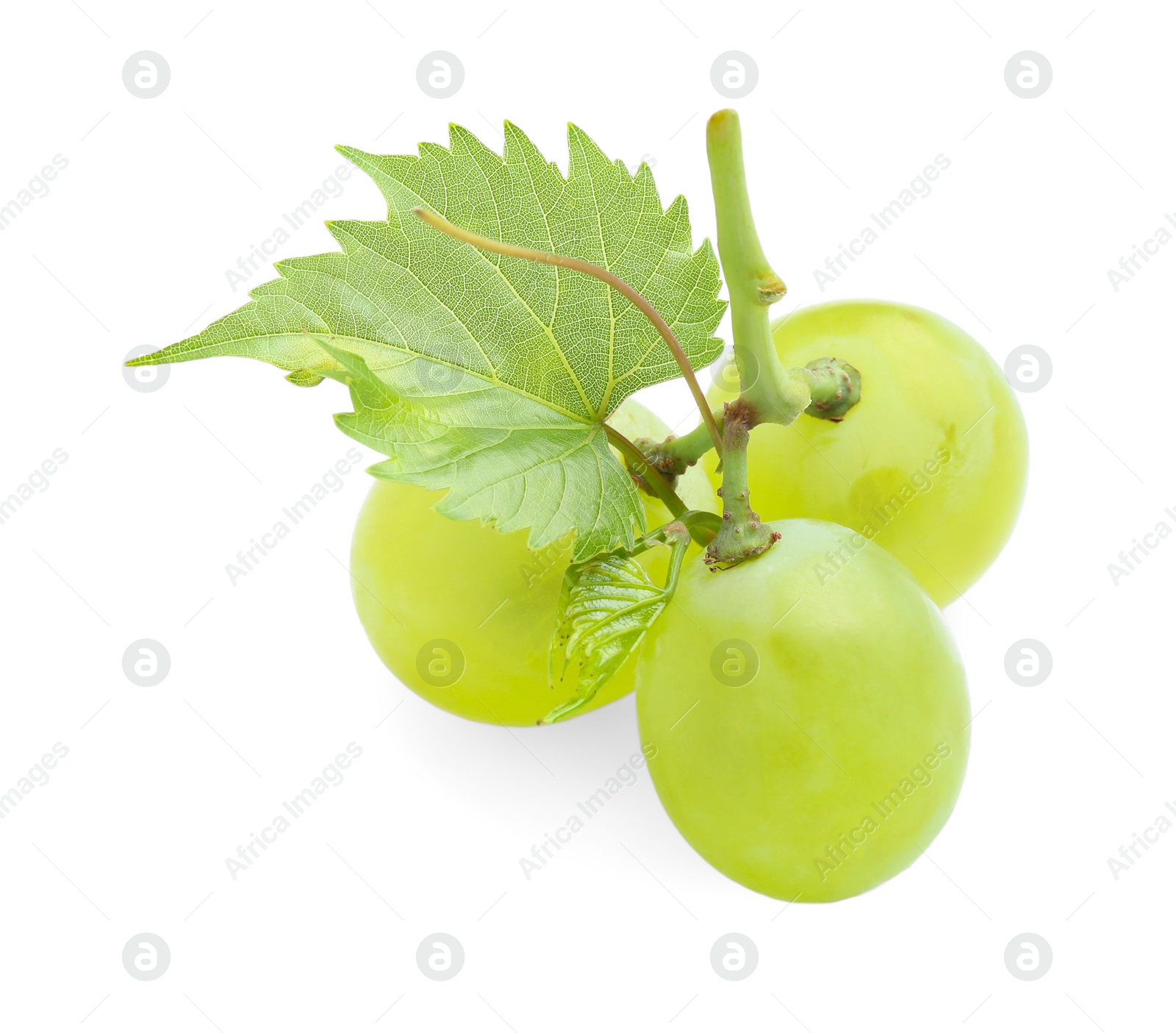 Photo of Fresh ripe juicy grapes isolated on white