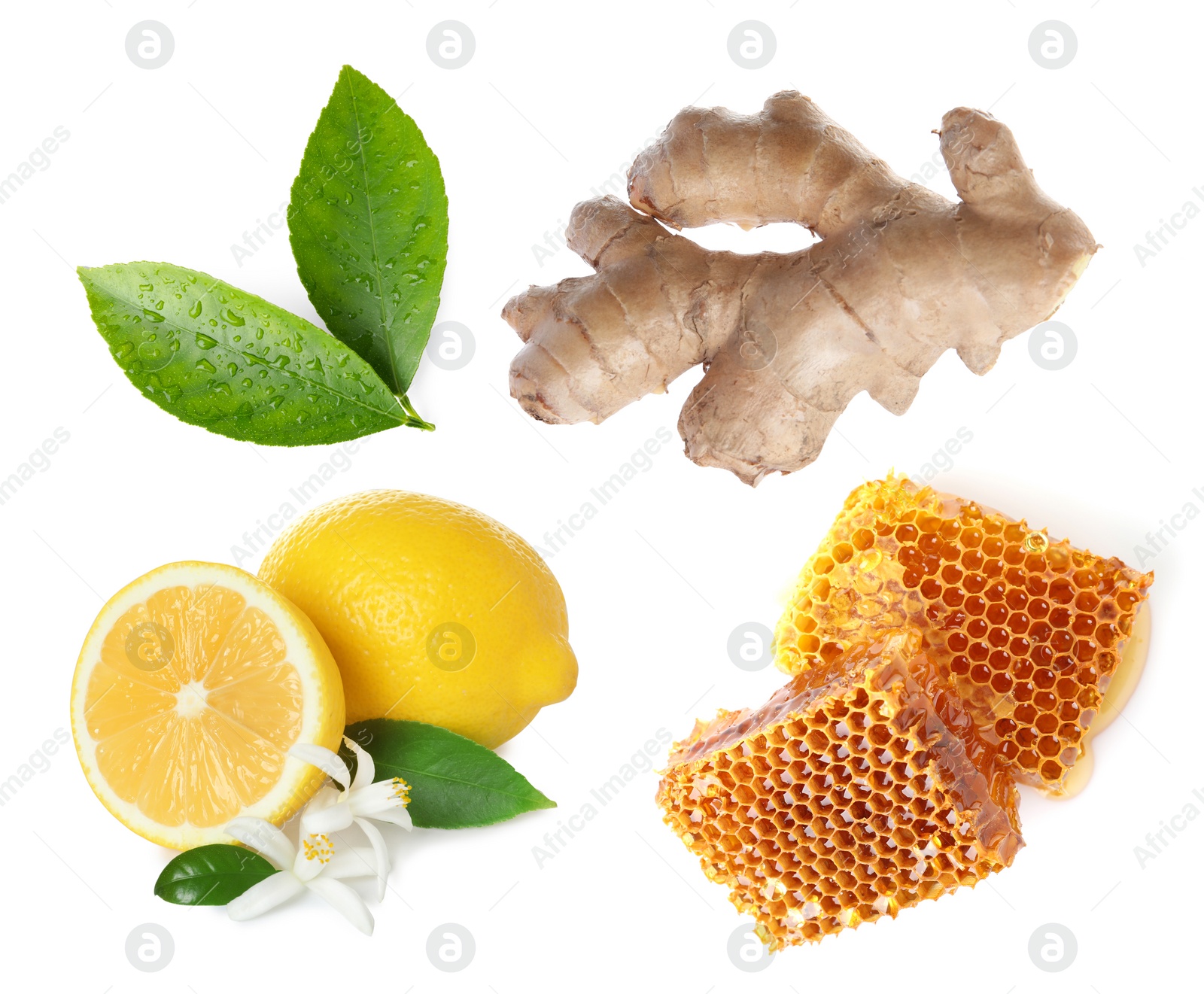 Image of Ginger root, lemon and honeycombs on white background