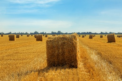 Photo of Beautiful view of agricultural field with hay bales