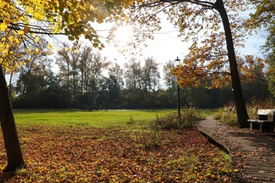 Photo of Picturesque view of park with beautiful trees, bench and pathway on sunny day. Autumn season