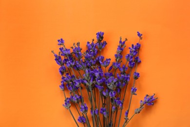 Photo of Beautiful lavender flowers on orange background, top view