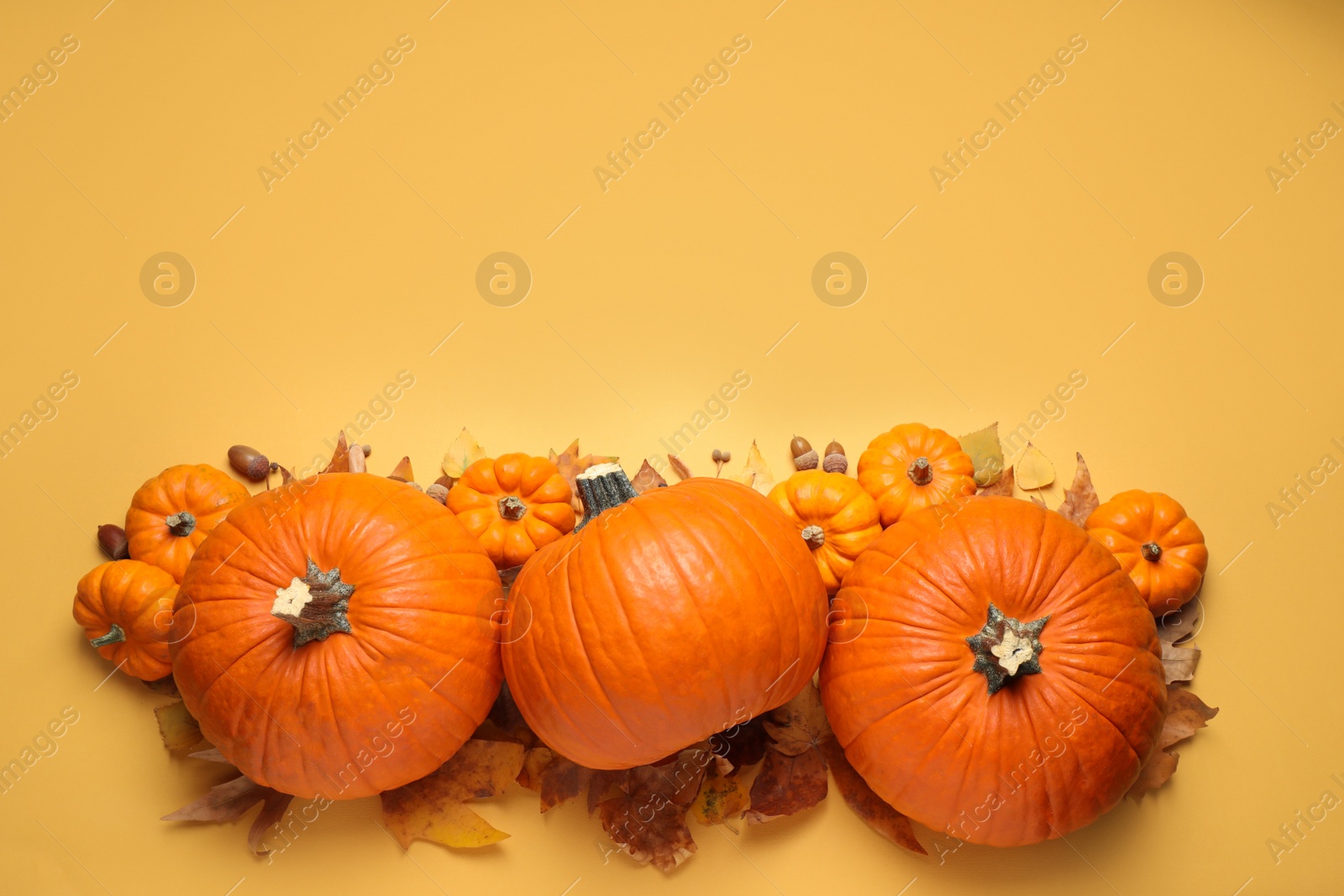 Photo of Flat lay composition with different ripe pumpkins and autumn leaves on yellow background. Space for text