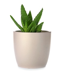 Photo of Flowerpot with aloe vera on white background