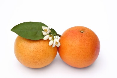 Photo of Fresh grapefruits, flowers and green leaf on white background