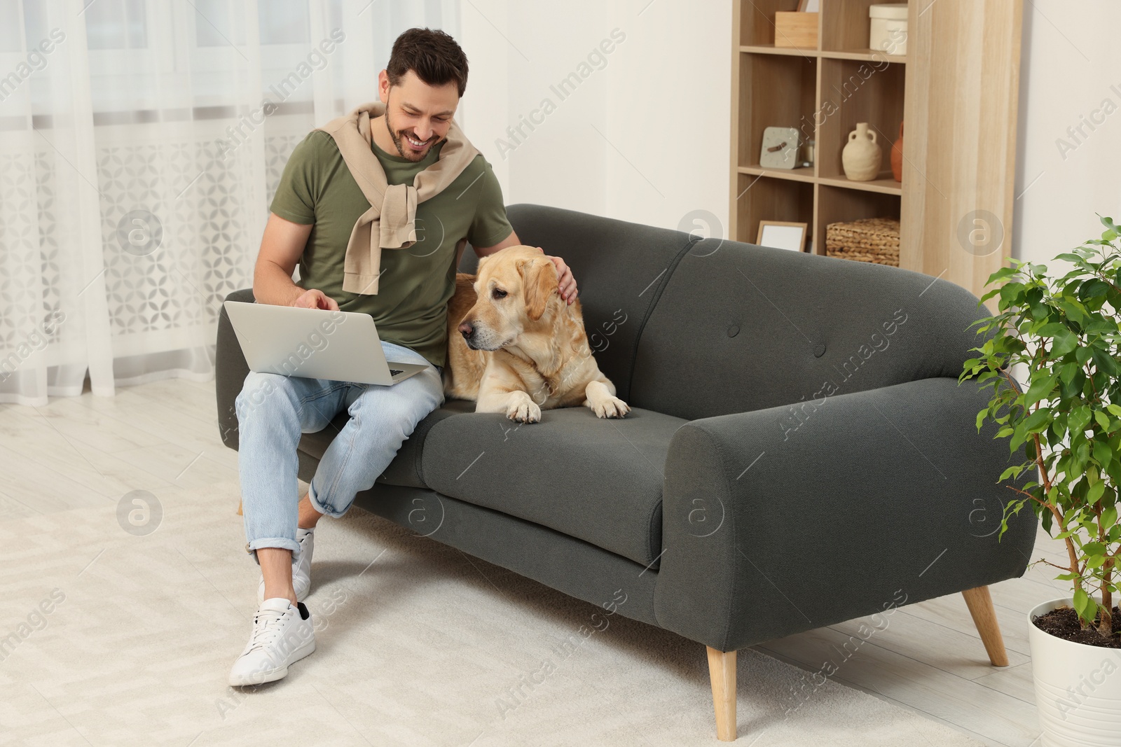 Photo of Man using laptop on sofa near his cute Labrador Retriever at home. Space for text