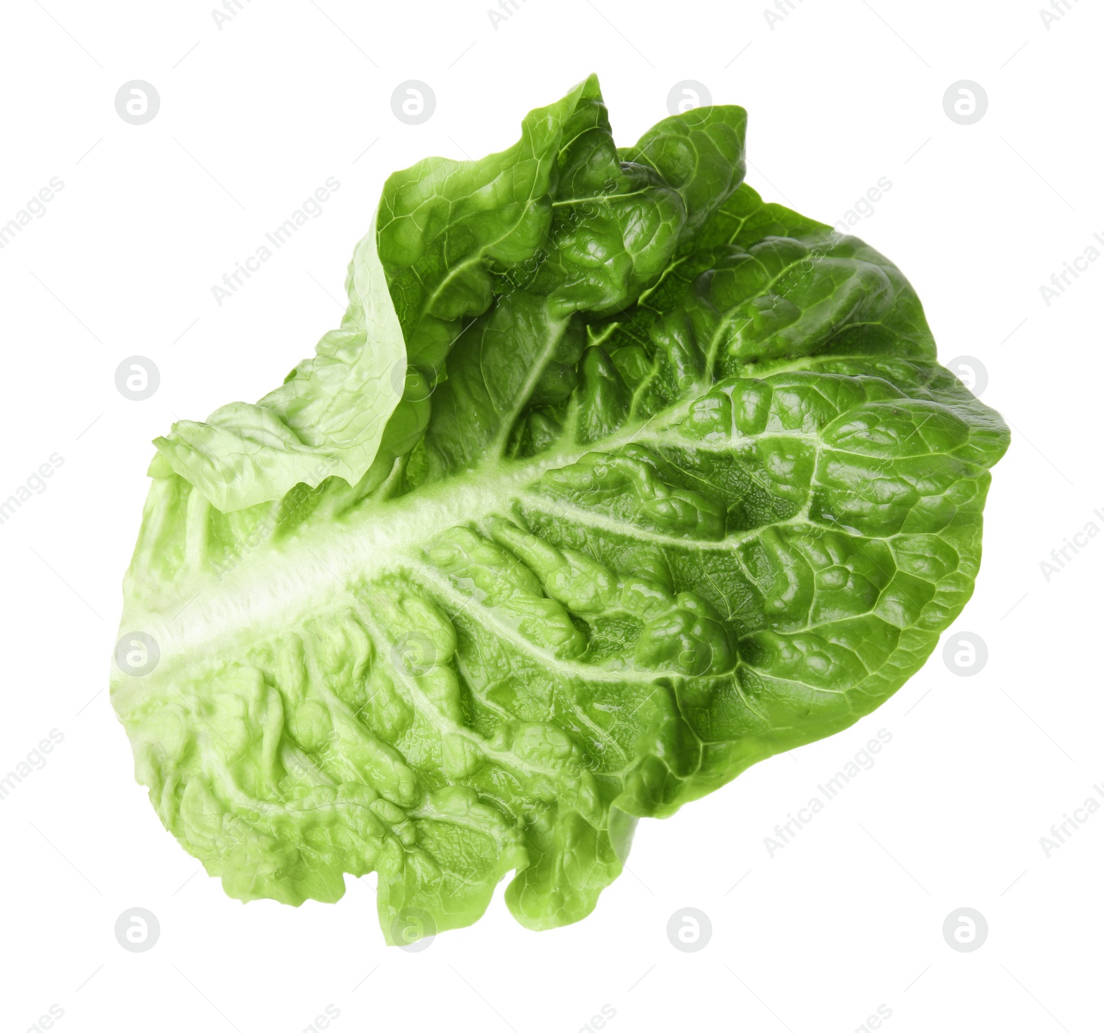 Photo of Fresh leaf of green romaine lettuce isolated on white