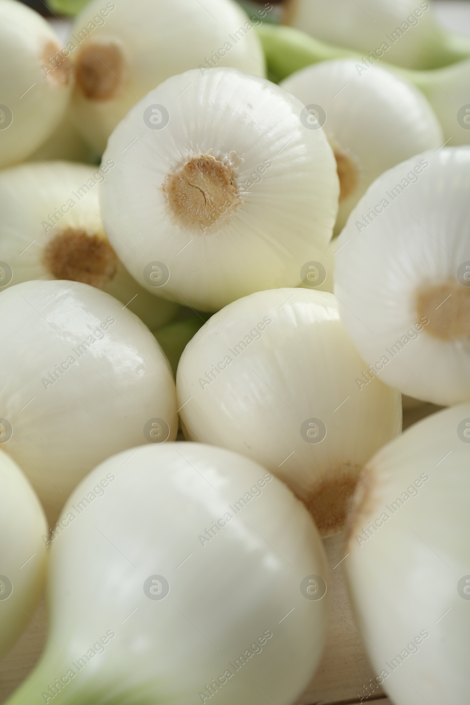 Photo of Whole green spring onions as background, closeup