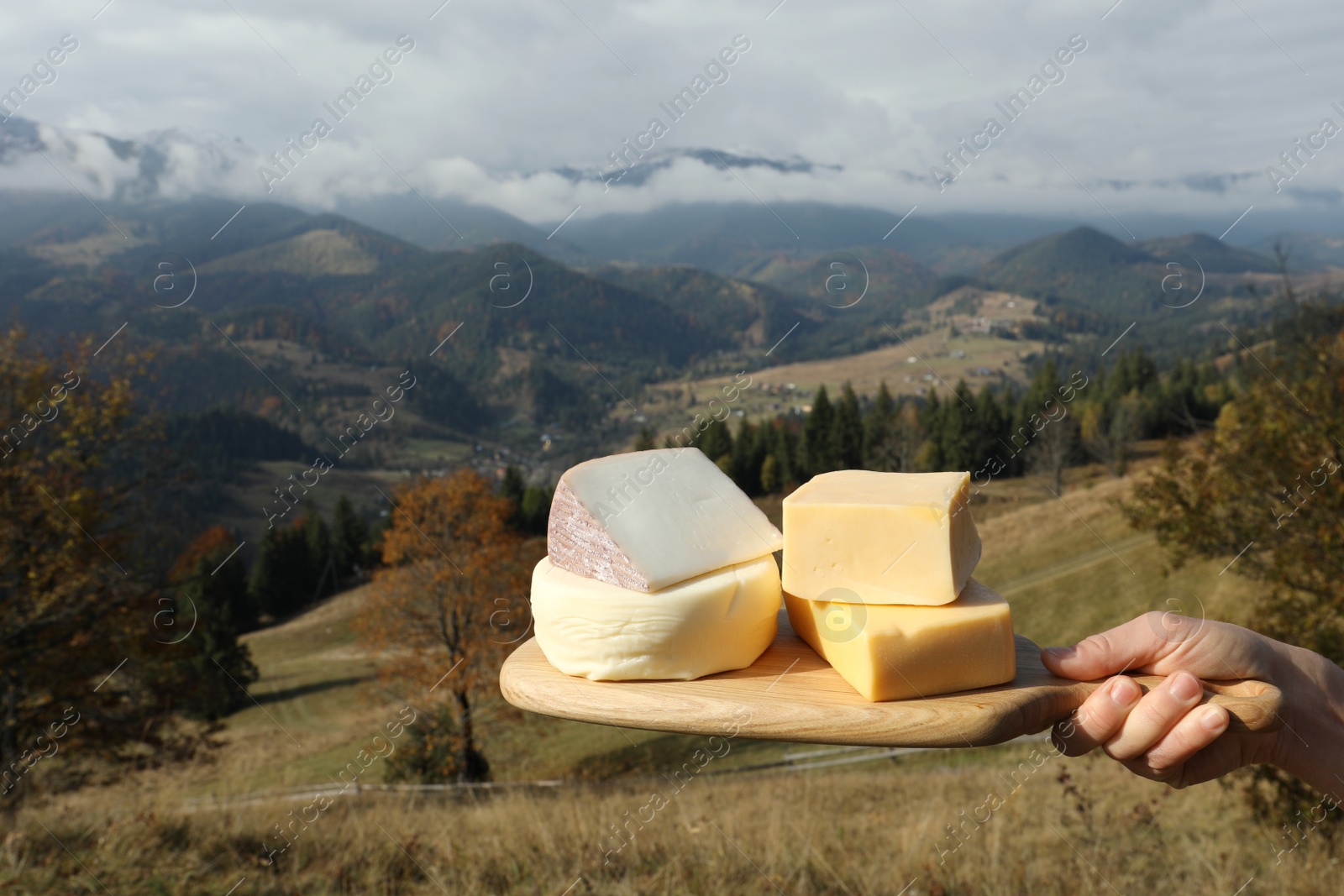 Photo of Woman holding board with different types of delicious cheeses against mountain landscape, closeup