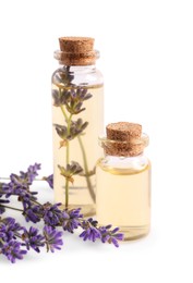 Photo of Essential oil and lavender flowers on white background