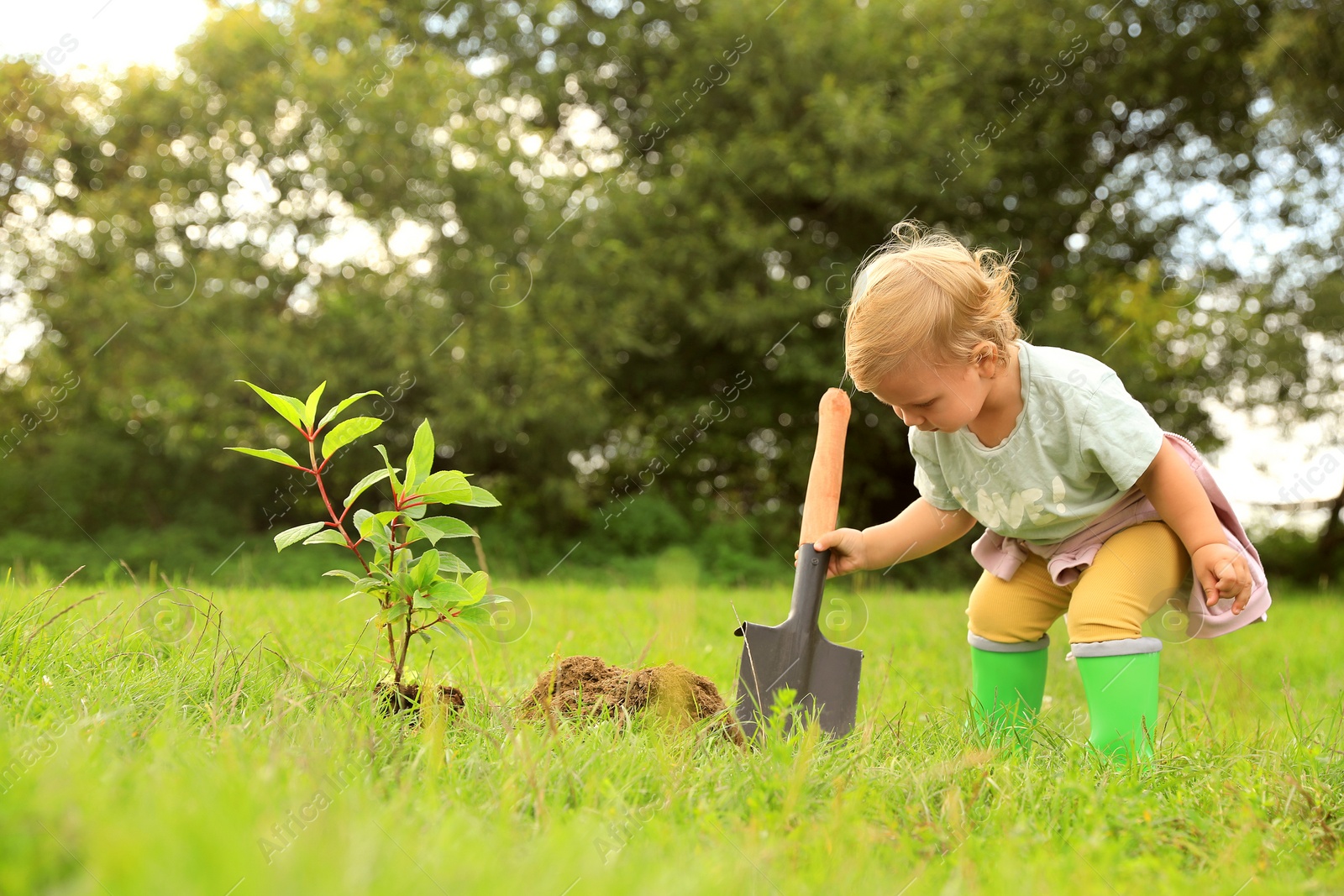 Photo of Cute baby girl planting tree in garden