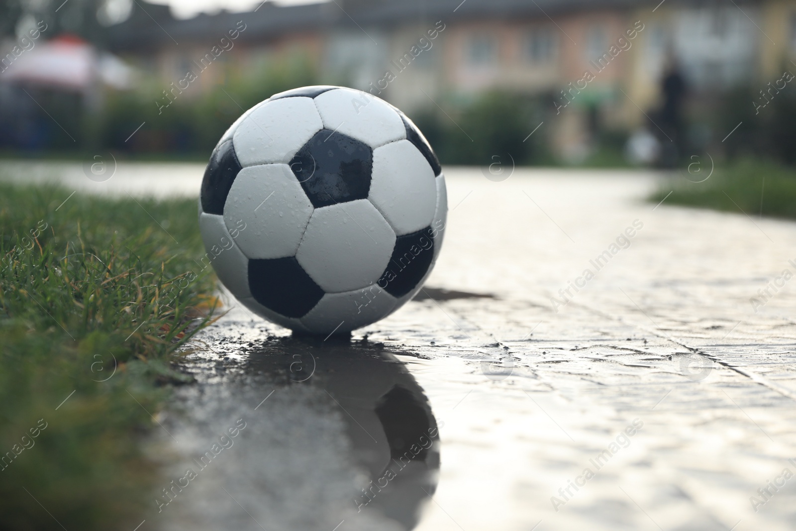 Photo of Wet leather soccer ball on street, space for text