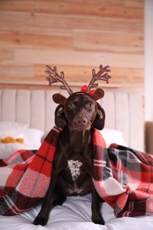 Photo of Cute dog in reindeer headband on bed at home. Christmas celebration