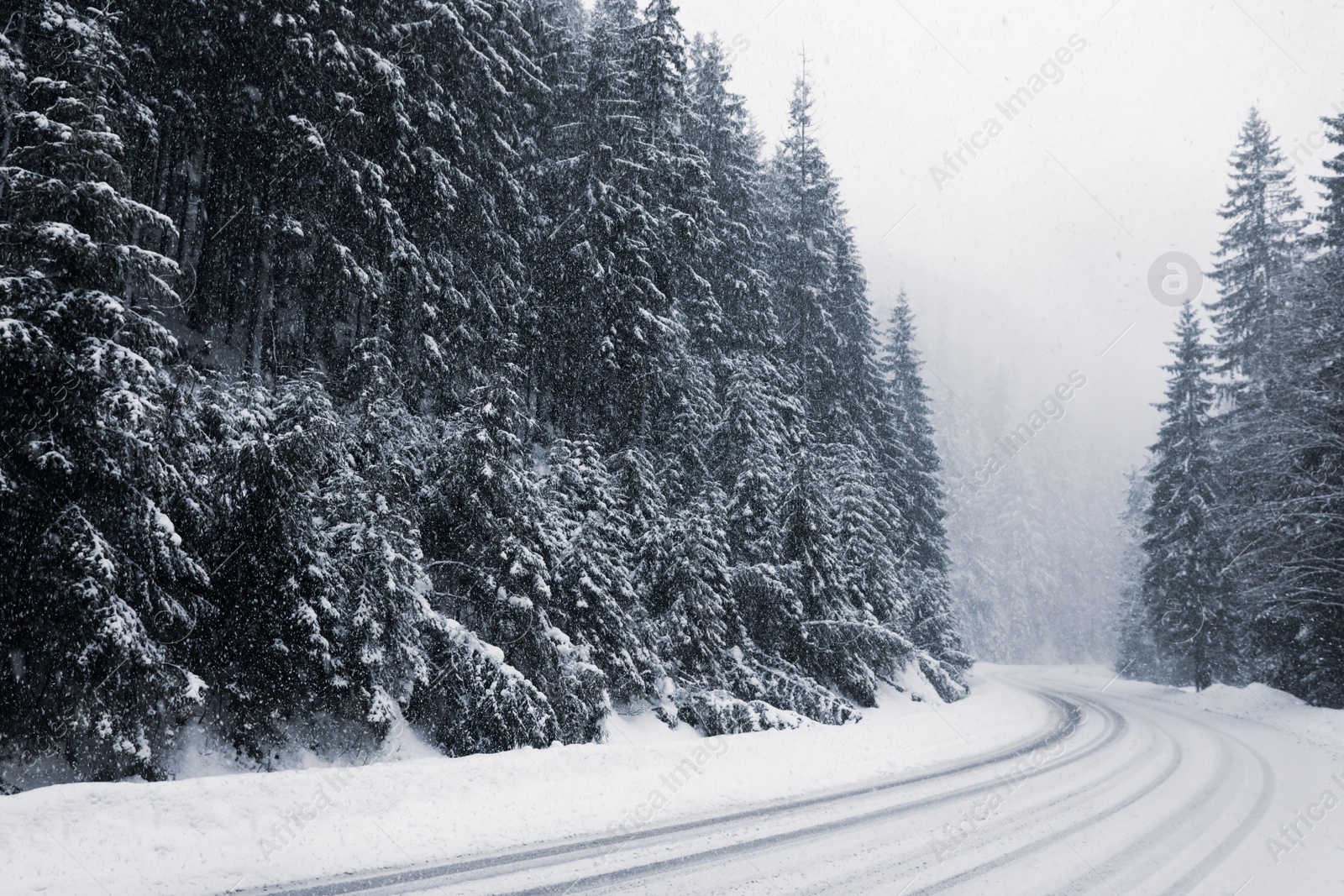 Photo of Beautiful landscape with road and conifer forest on snowy winter day