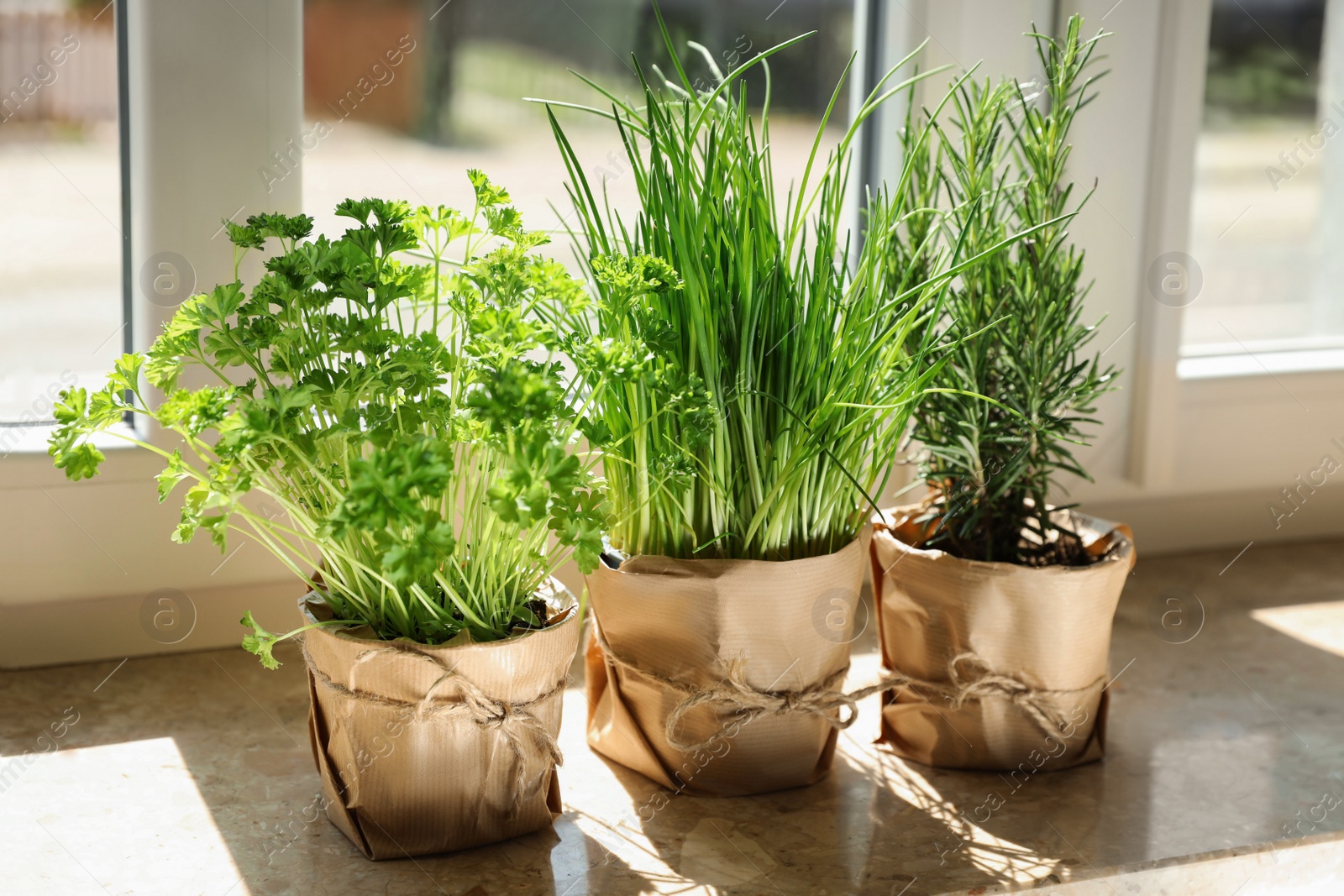 Photo of Different aromatic potted herbs on windowsill indoors