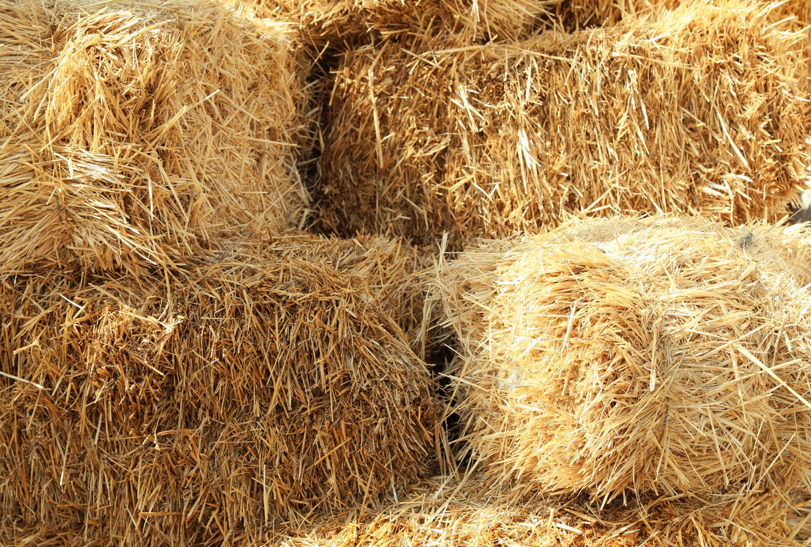 Photo of Many hay bales outdoors on sunny day, closeup