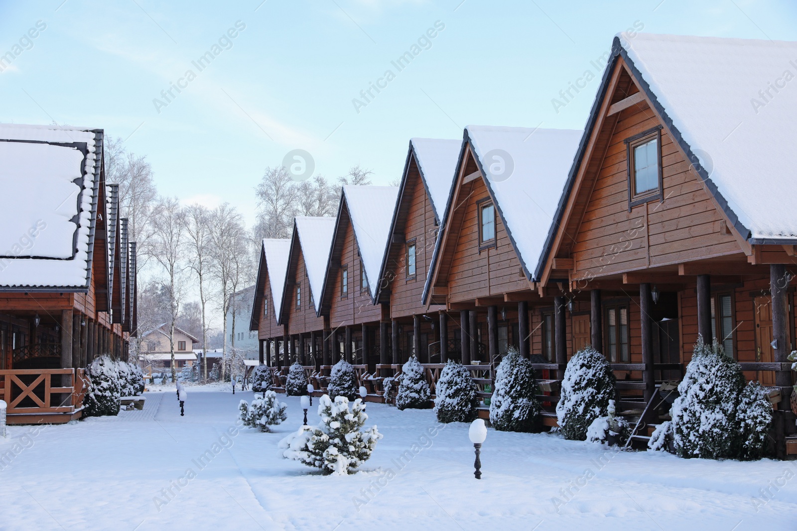 Photo of Winter landscape with beautiful houses, trees and bushes in morning