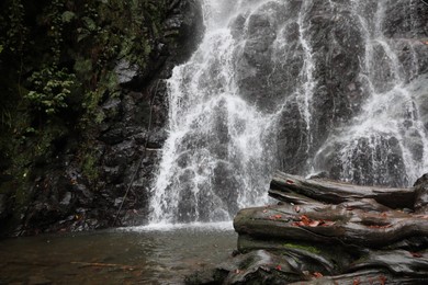 Picturesque view of beautiful mountain waterfall and rocks outdoors