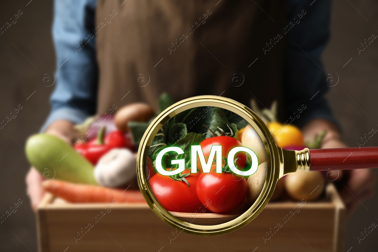 Image of View through magnifying glass on fresh vegetables. GMO concept