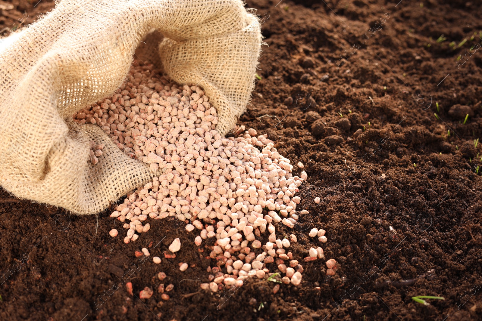 Photo of Granulated fertilizer in sack on soil, closeup