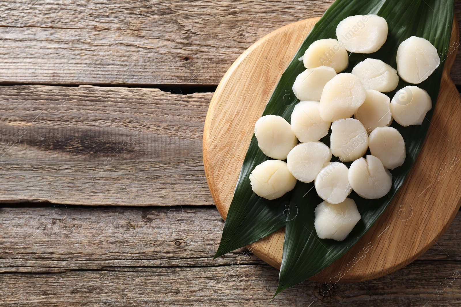 Photo of Fresh raw scallops on wooden table, top view. Space for text