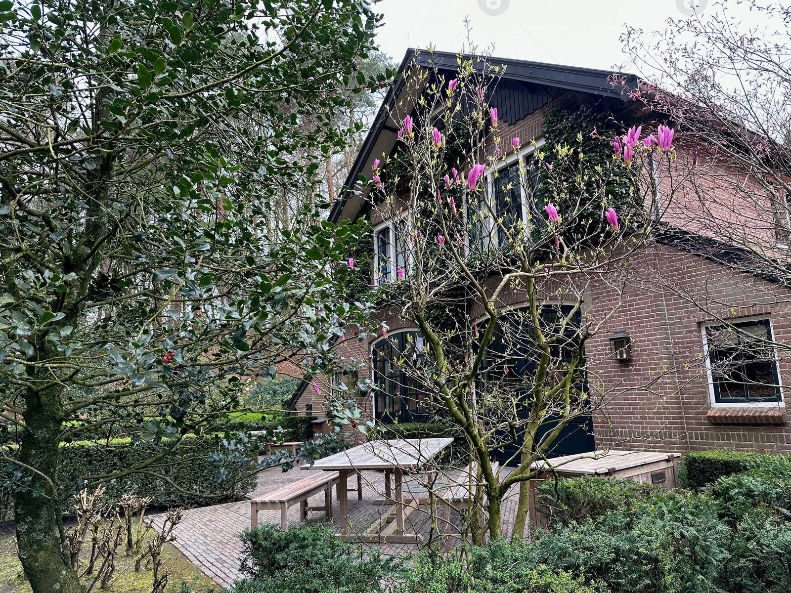 Photo of Luxury hotel and beautiful plants outdoors, low angle view