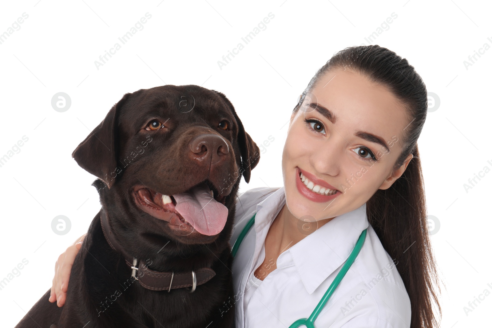 Photo of Veterinarian doc with dog on white background