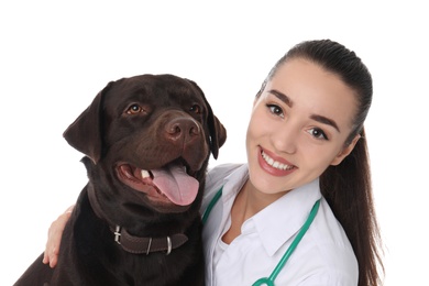 Photo of Veterinarian doc with dog on white background