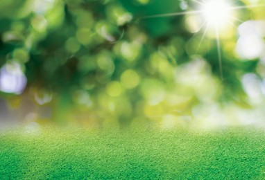 Image of Vibrant green grass outdoors on sunny day