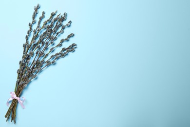 Photo of Beautiful blooming pussy willow branches on light blue background, top view. Space for text