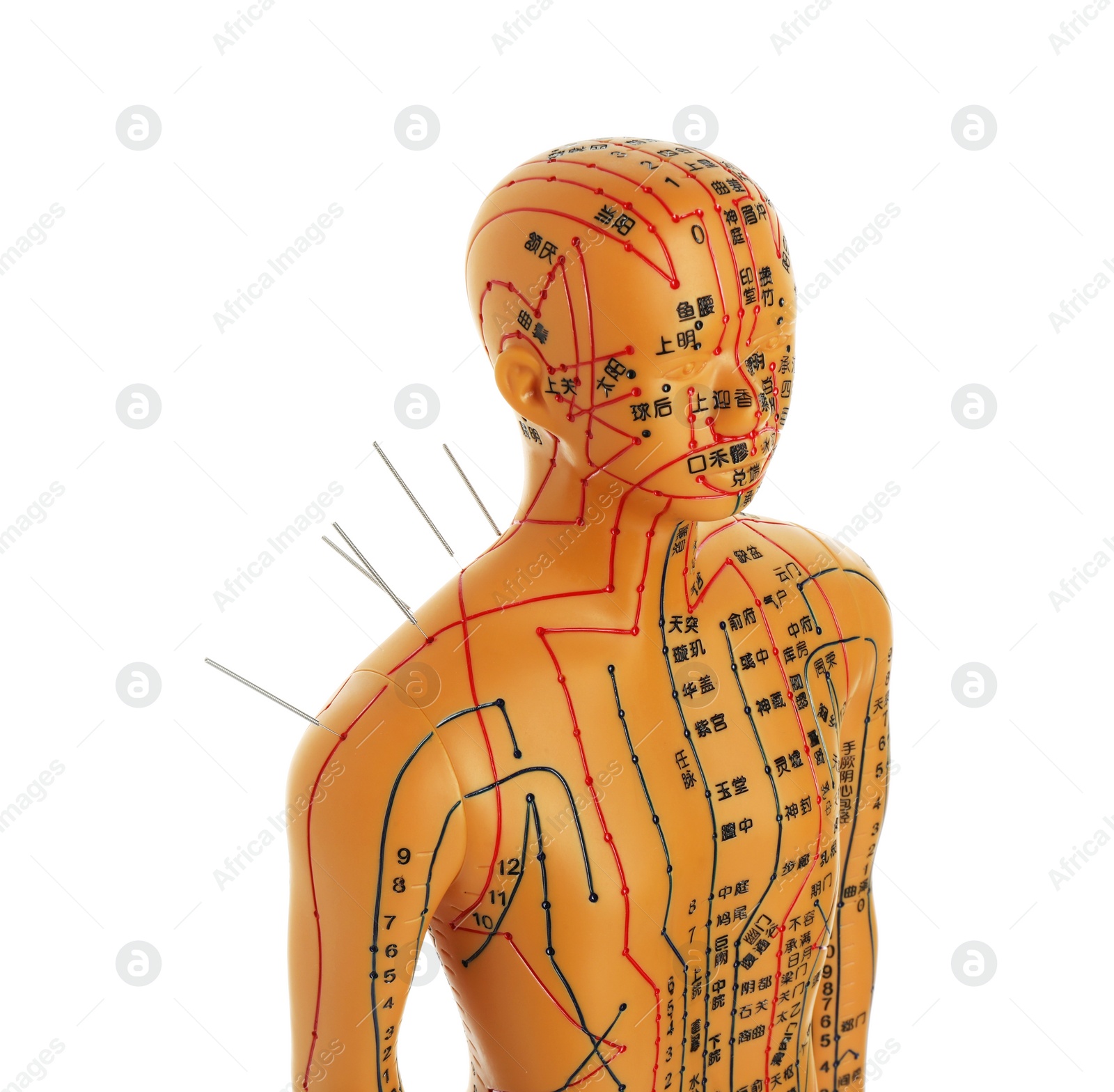 Photo of Acupuncture - alternative medicine. Human model with needles in shoulder isolated on white