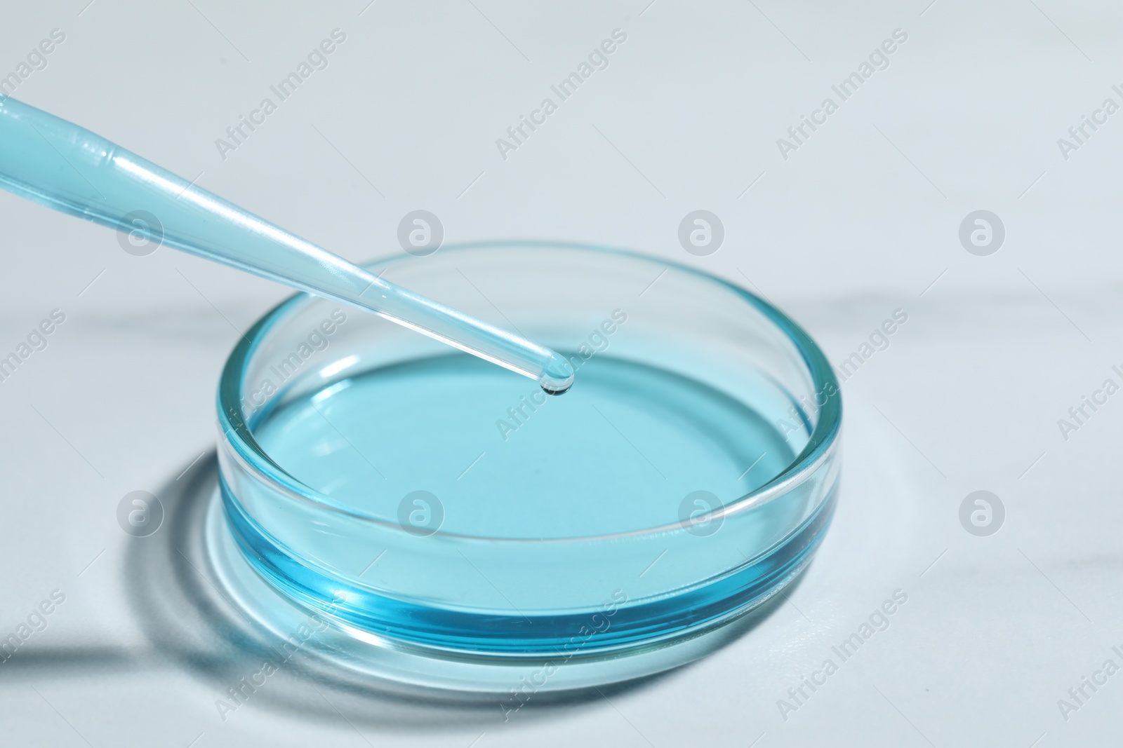 Photo of Dripping liquid from pipette into petri dish at white table, closeup