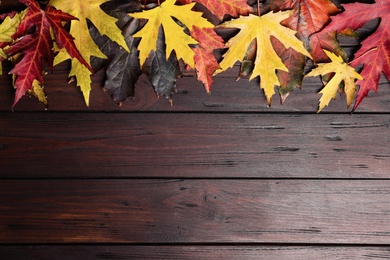 Photo of Dry autumn leaves of Japanese maple tree on brown wooden background, flat lay. Space for text