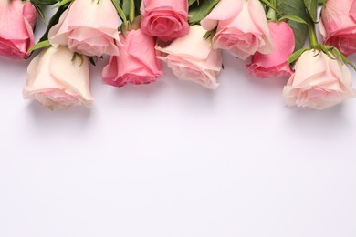Photo of Beautiful roses on white background, above view. Space for text