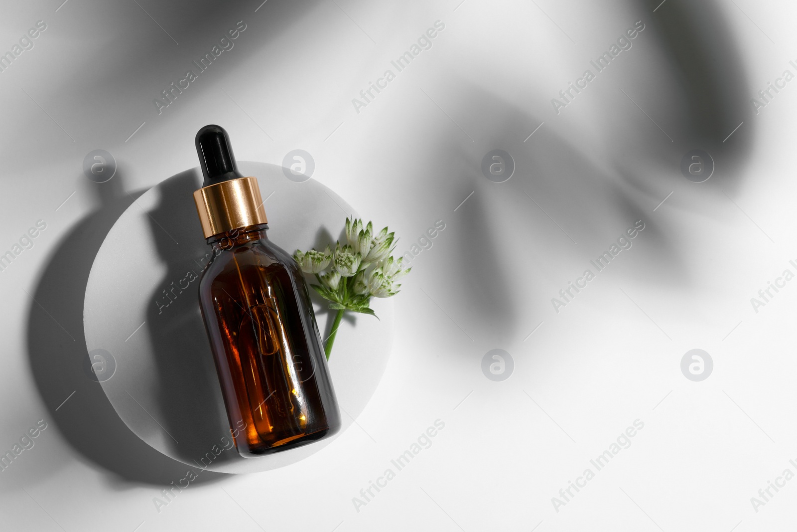 Photo of Bottle of cosmetic oil and flower on white background, top view. Space for text