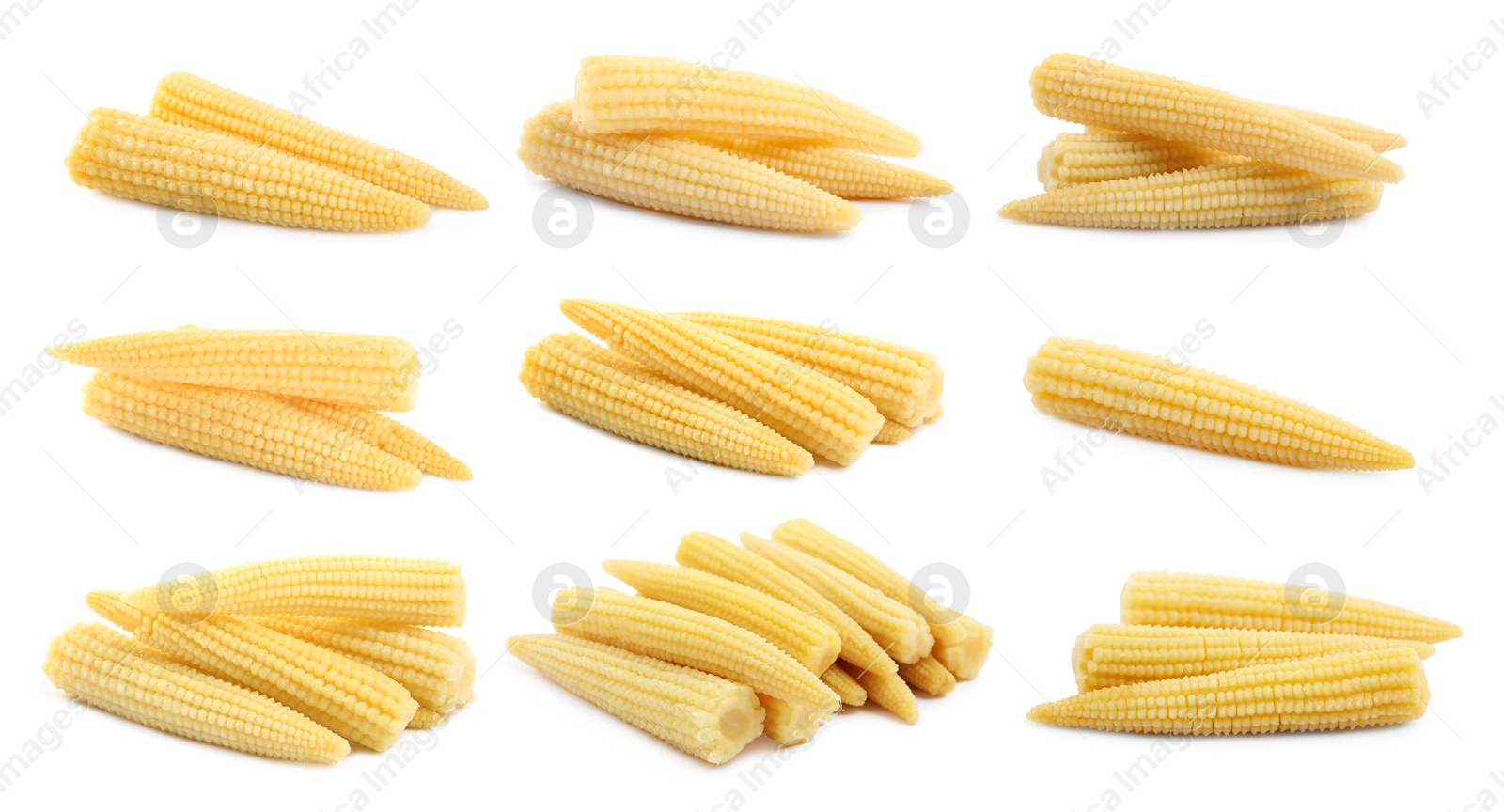 Image of Set with tasty baby corn cobs on white background 