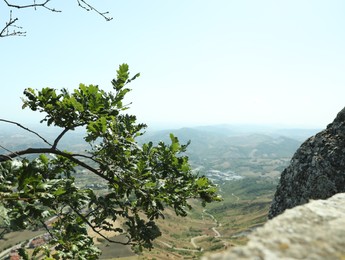 Tree branch and picturesque view of valley on sunny day