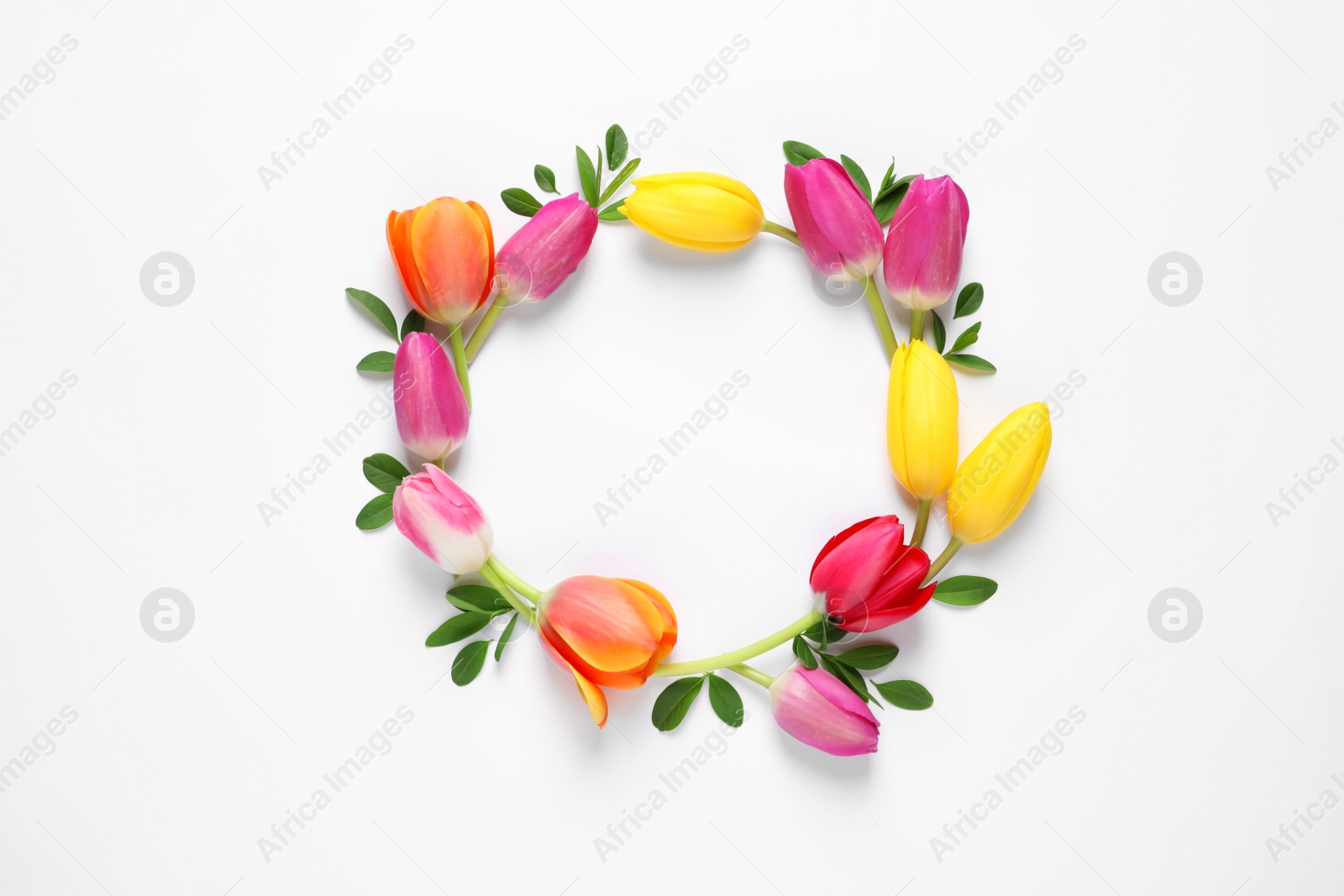 Photo of Frame made of beautiful spring flowers on white background, top view. Space for text