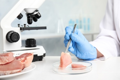 Photo of Scientist with raw meat at table in laboratory, closeup. Poison detection