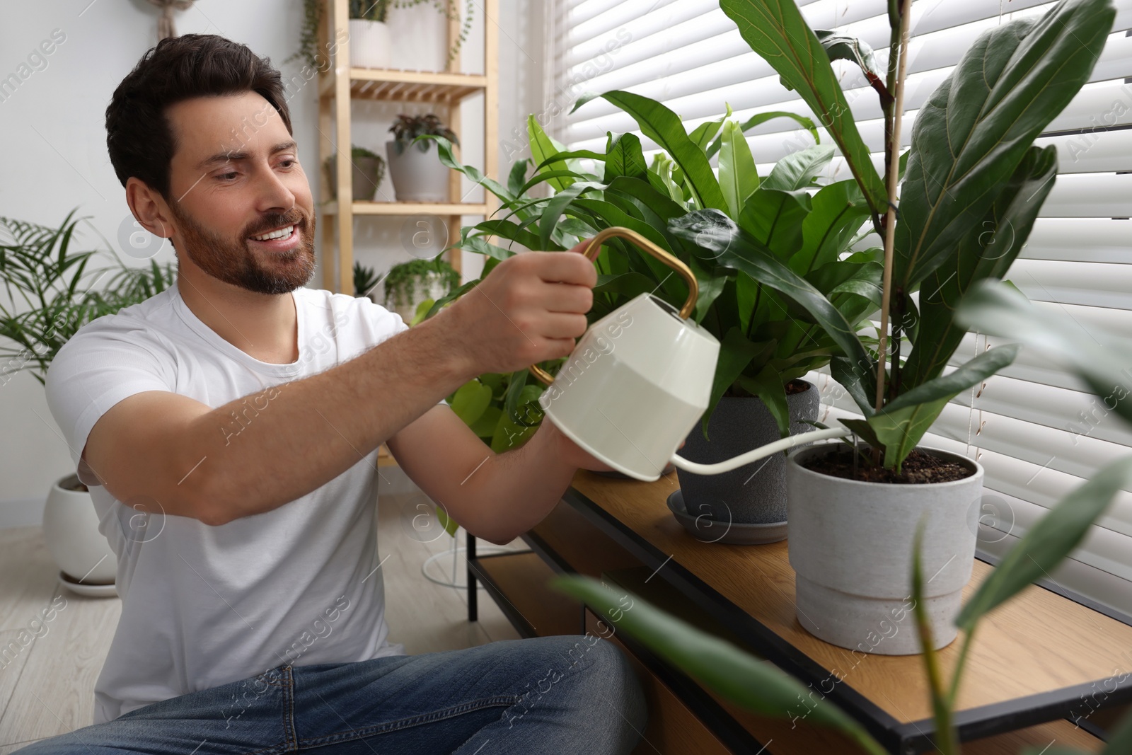 Photo of Man watering beautiful potted houseplants at home