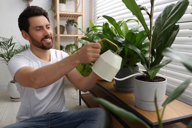 Man watering beautiful potted houseplants at home