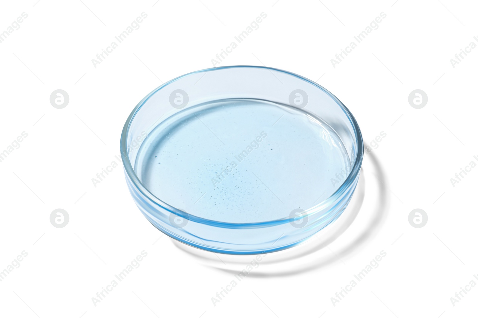 Photo of Petri dish with liquid on white background