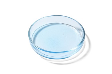 Photo of Petri dish with liquid on white background