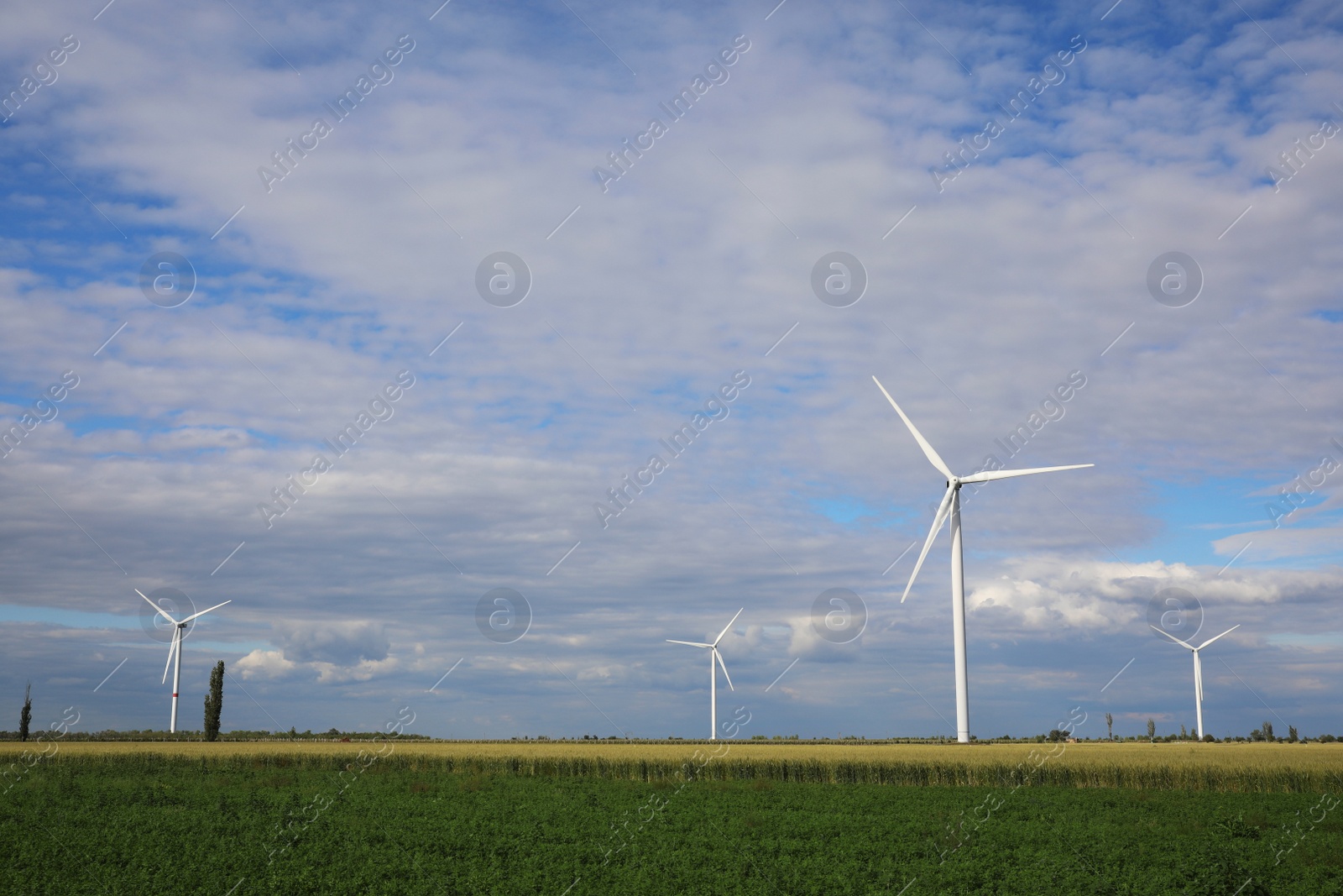 Photo of Beautiful view of field with wind turbines. Alternative energy source