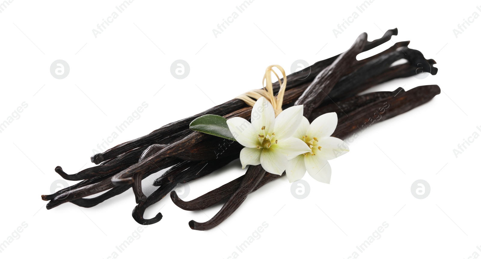 Photo of Vanilla pods, green leaf and flowers isolated on white