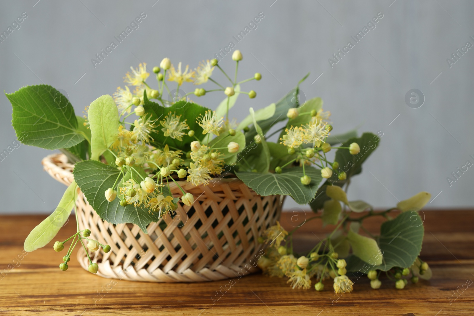 Photo of Fresh linden leaves and flowers on wooden table