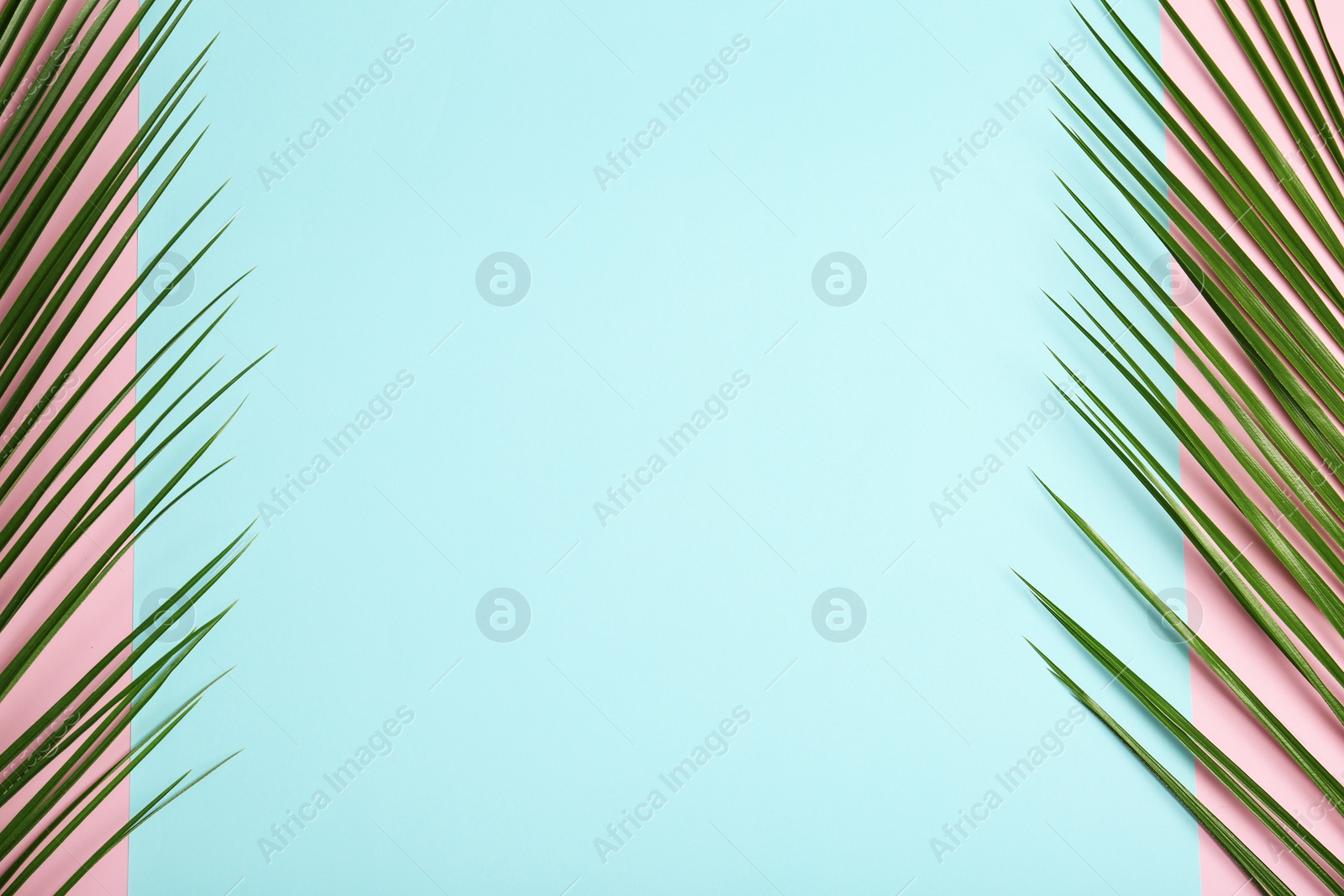 Photo of Fresh tropical date palm leaves on color background, top view