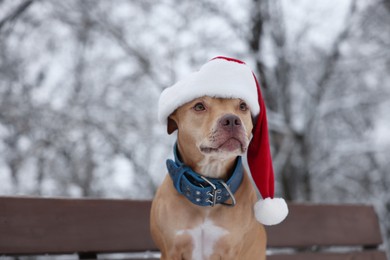 Photo of Cute dog wearing Santa hat on bench in snowy park