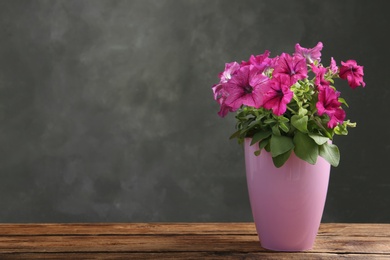 Photo of Beautiful pink petunia flowers in plant pot on wooden table against grey background. Space for text